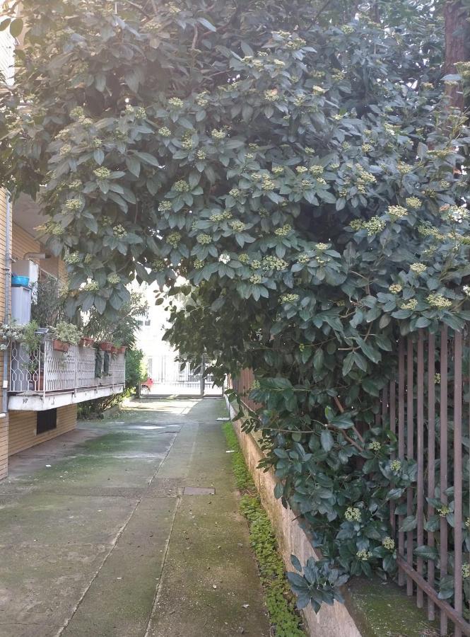Le Stanze Di Ginevra - Via Tescione Hotel Caserta Exterior foto